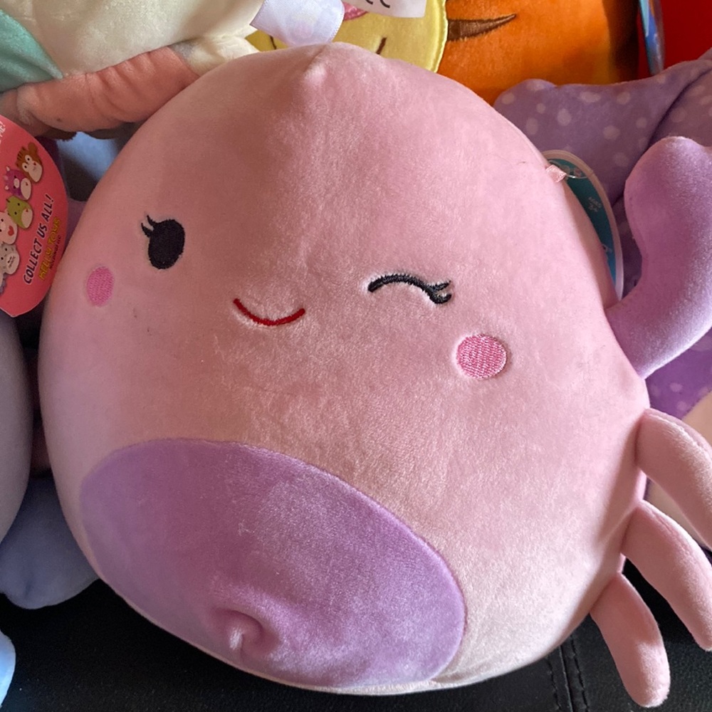 Cosmina squishmallow